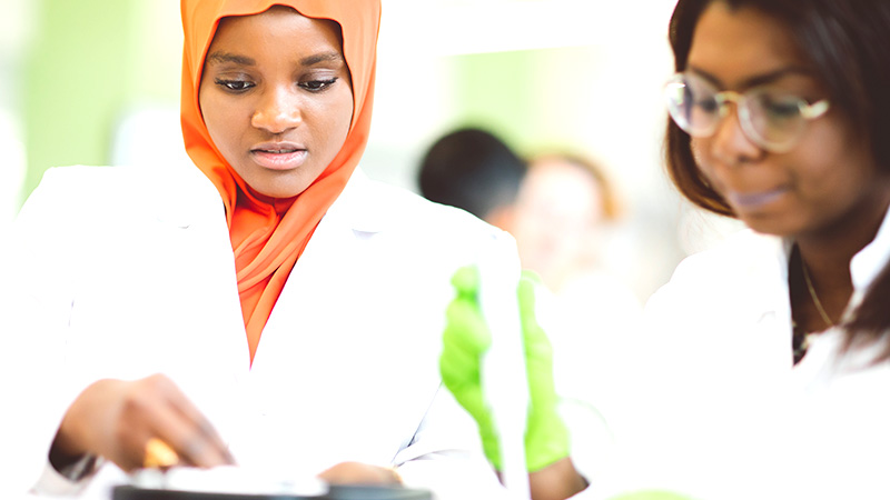 Students working in a lab