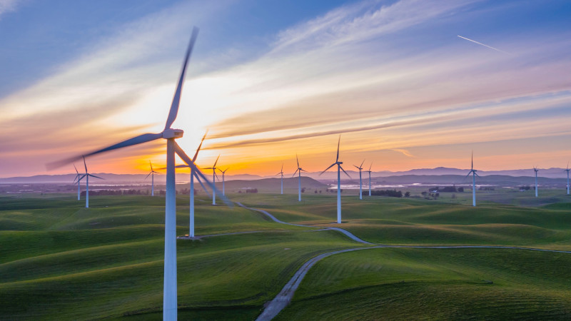 Wind turbines along the coast