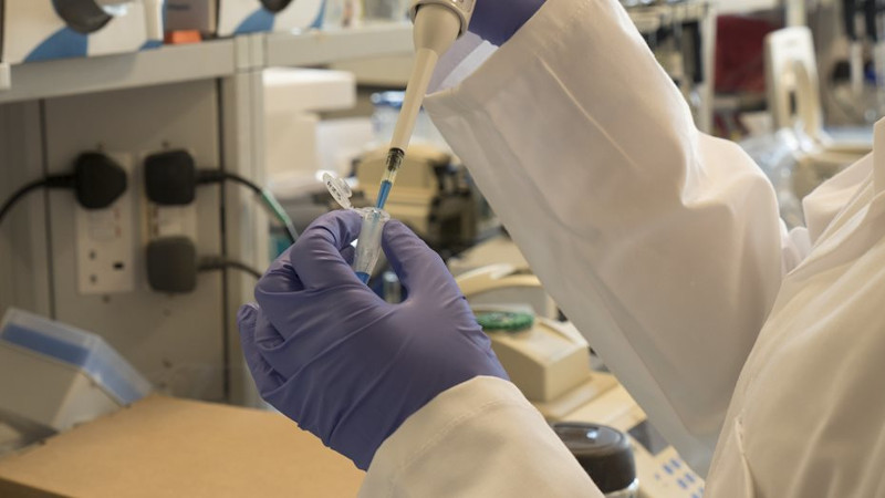 Researcher working in lab